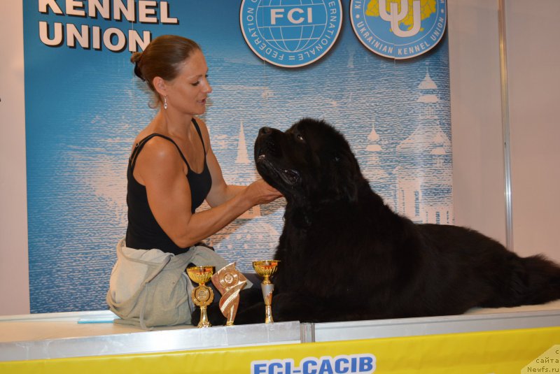 Фотография № 213025