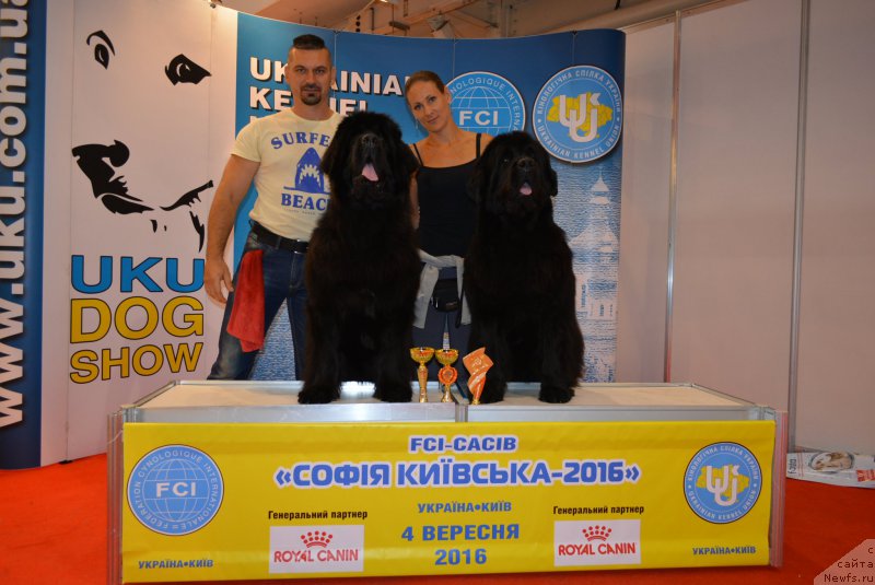 Фотография № 213026