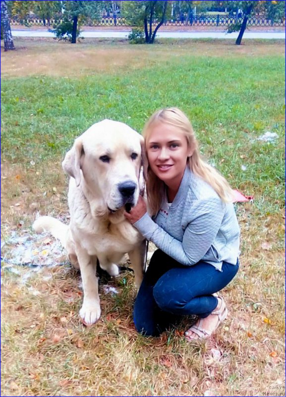 Фотография № 213027