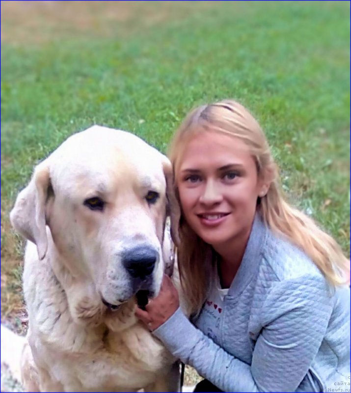 Фотография № 213028