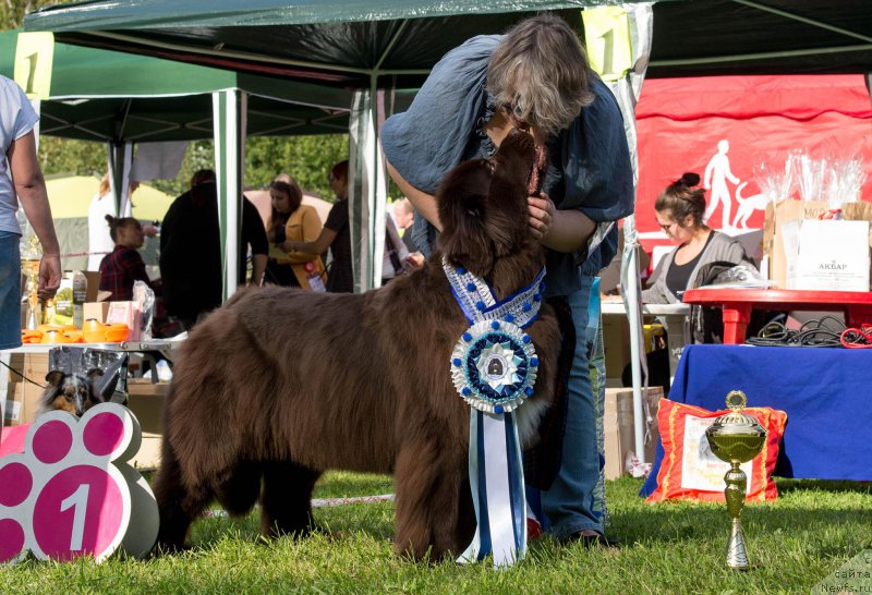 Фотография № 213030