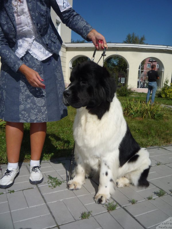 Фотография № 213052