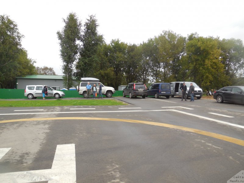 Фотография № 213055