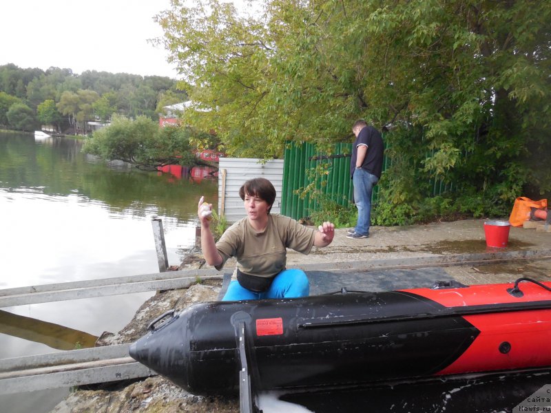 Фотография № 213057