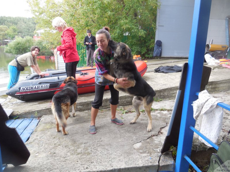 Фотография № 213060