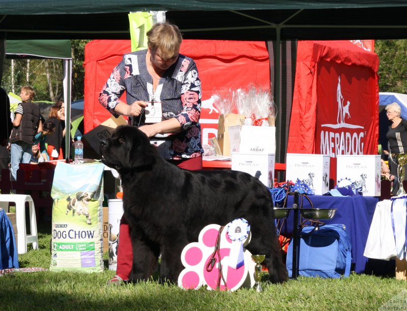 Фотография № 213064