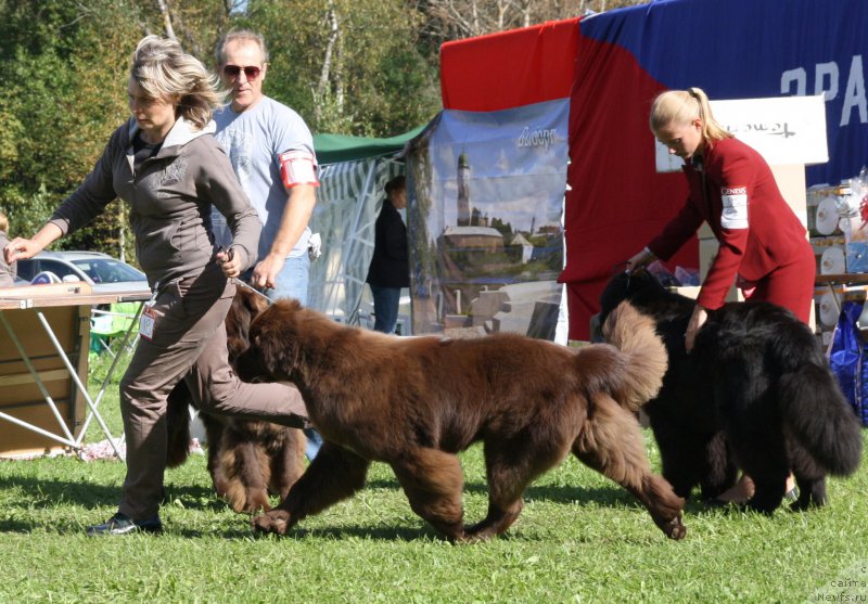 Фотография № 213067