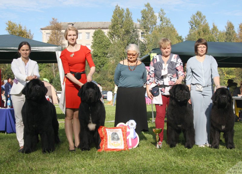 Фотография № 213074