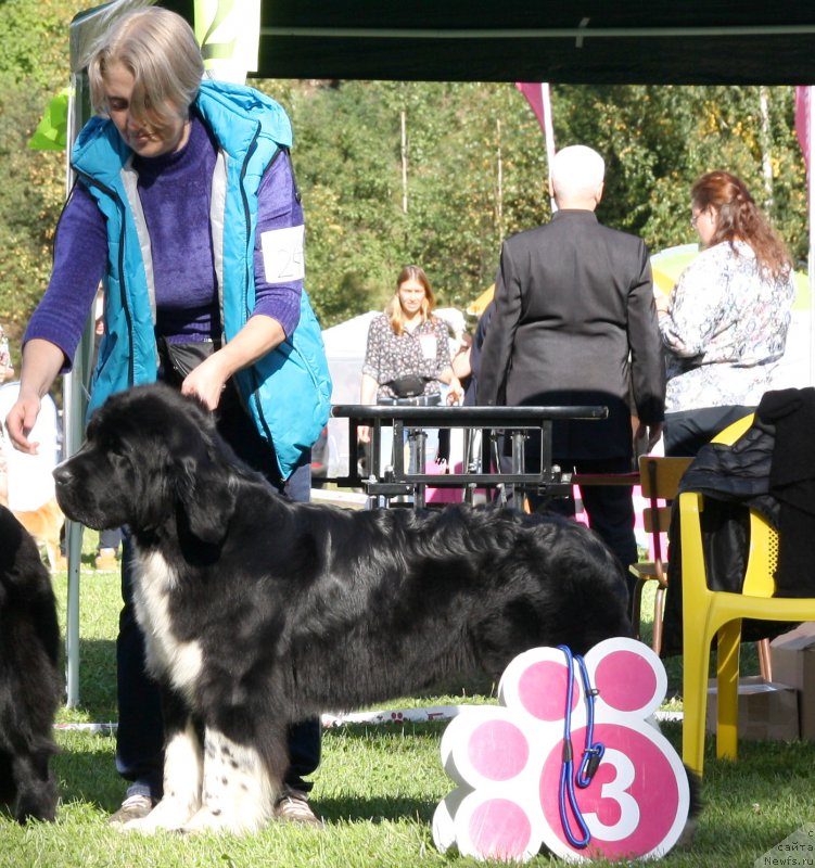 Фотография № 213080