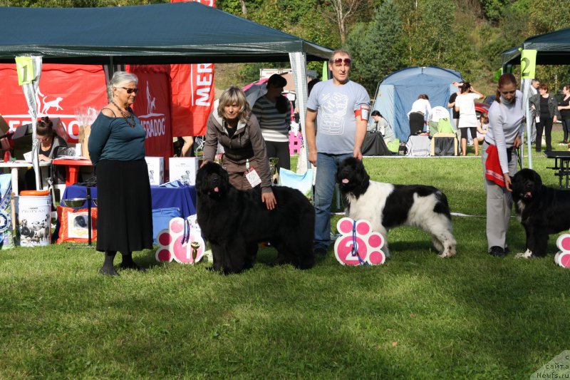 Фотография № 213082