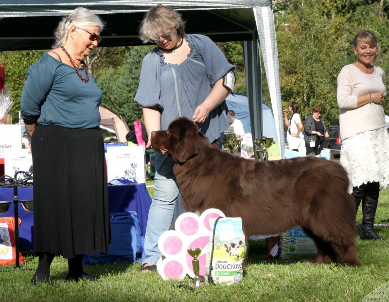 Фотография № 213084