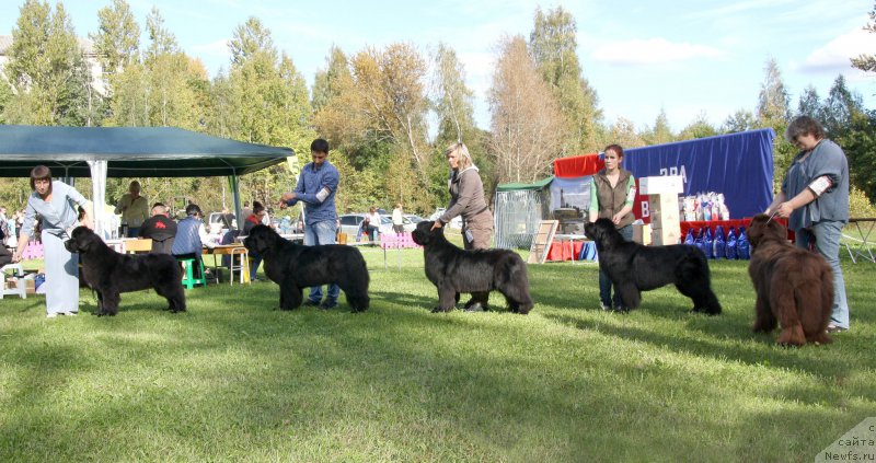 Фотография № 213087