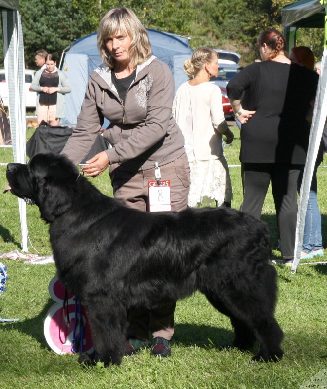 Фотография № 213093