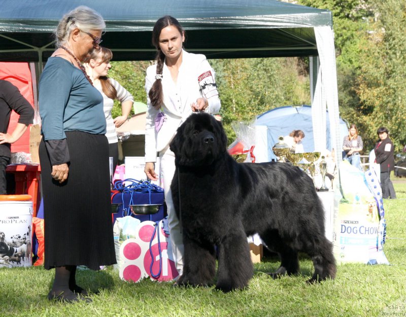 Фотография № 213097