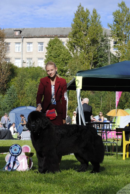 Фотография № 213099