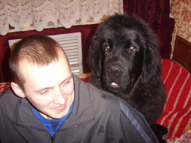 Фото: Олег Лаптев