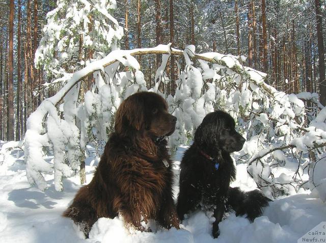 Фотография № 21311