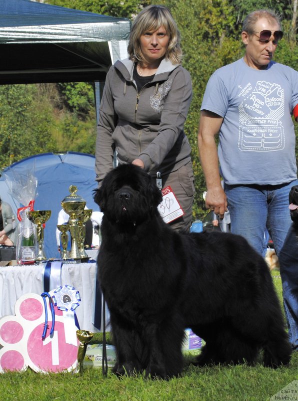 Фотография № 213115