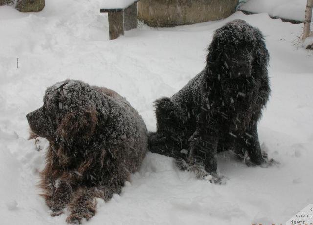 Фотография № 21312