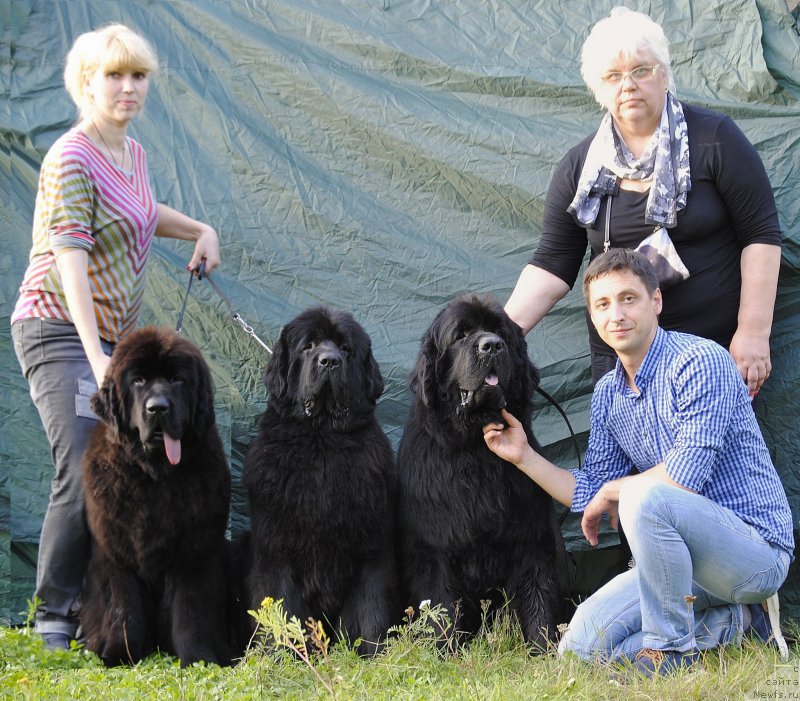 Фото: ньюфаундленд Смигар Блонди Мэрилин (Smigar Blondy Marilyn), ньюфаундленд Love Inside Your Soul Moon Bear, ньюфаундленд Jonathan Poursmigar iz Volotova, Галина Сарычева, Александр Коротков, Анастасия Эдуардова