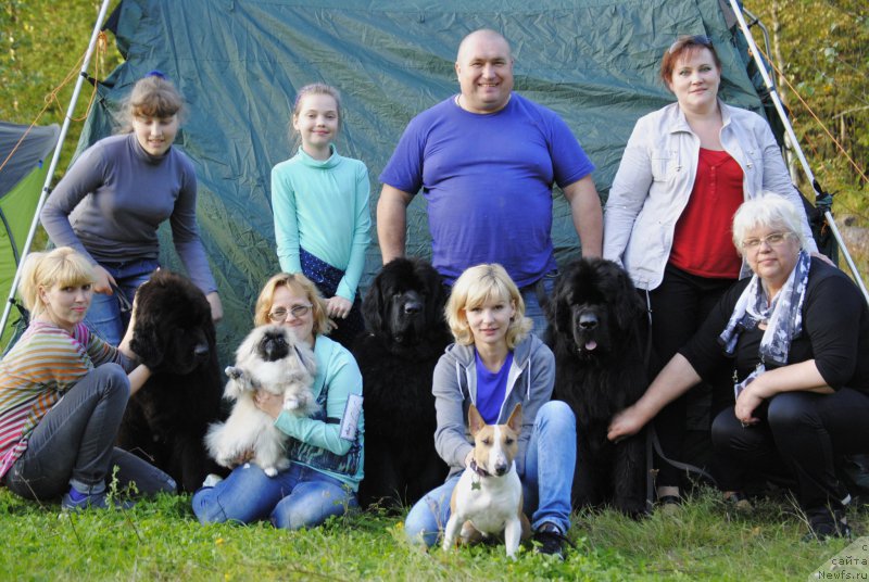Фото: ньюфаундленд Смигар Блонди Мэрилин (Smigar Blondy Marilyn), ньюфаундленд Love Inside Your Soul Moon Bear, ньюфаундленд Jonathan Poursmigar iz Volotova, Александр Беспечный, Галина Сарычева, Анастасия Эдуардова, Лариса Башарова