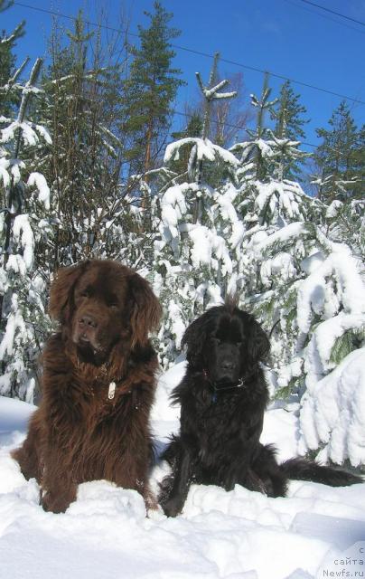 Фотография № 21313