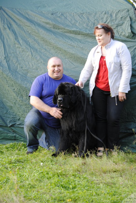 Фото: ньюфаундленд Jonathan Poursmigar iz Volotova, Александр Беспечный, и Катя