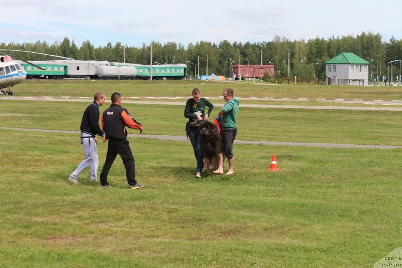 Фотография № 213131