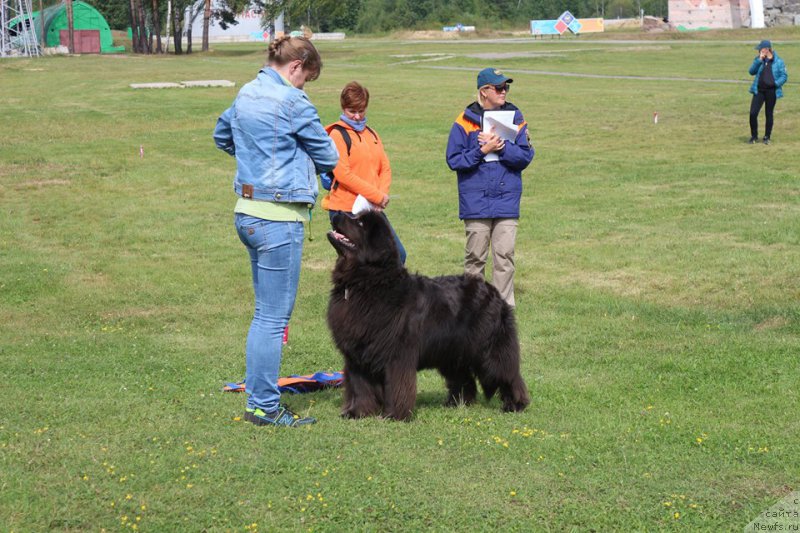 Фотография № 213133