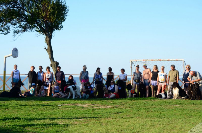 Фотография № 213135