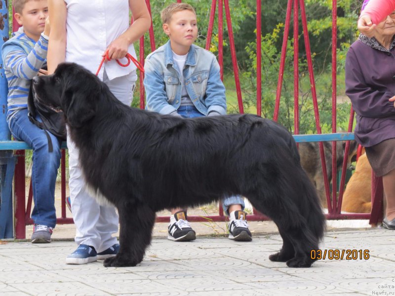 Фотография № 213138