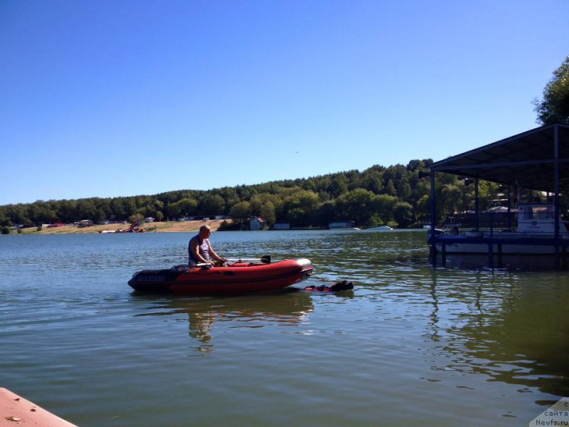 Фотография № 213143