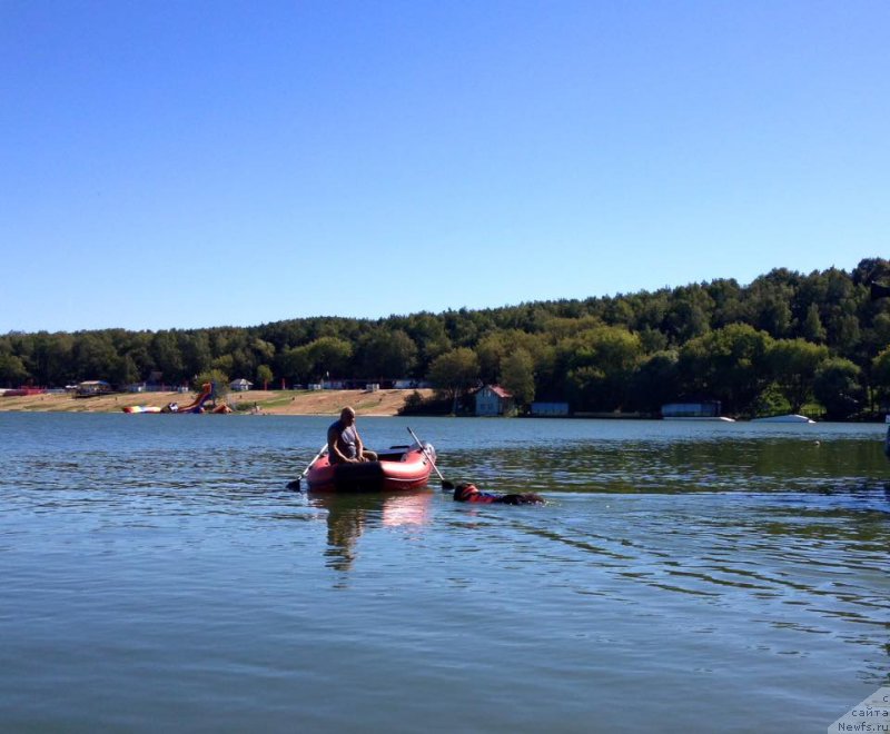 Фотография № 213145