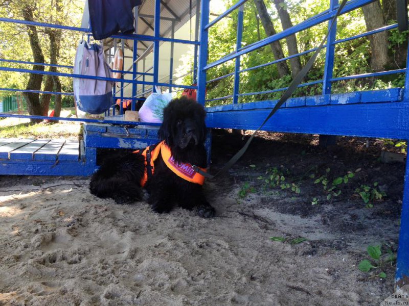 Фотография № 213146