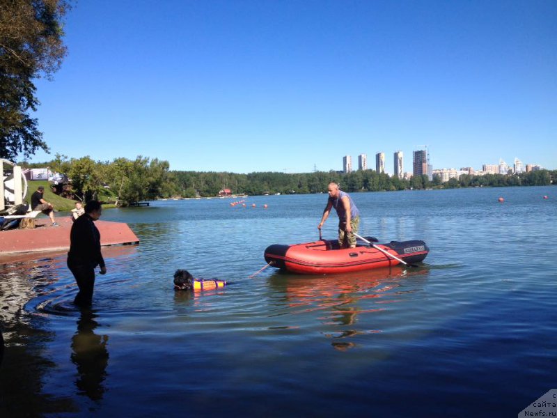 Фотография № 213147