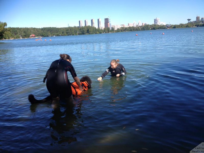 Фотография № 213150