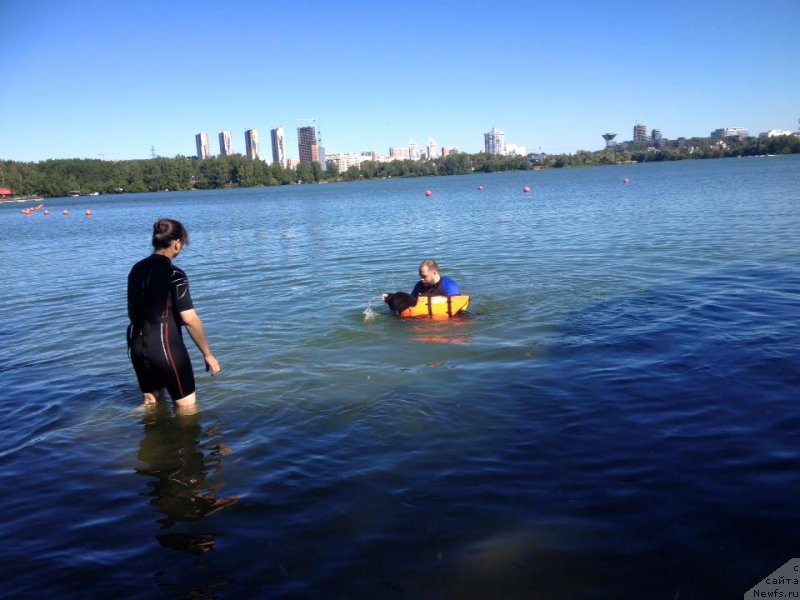 Фотография № 213151