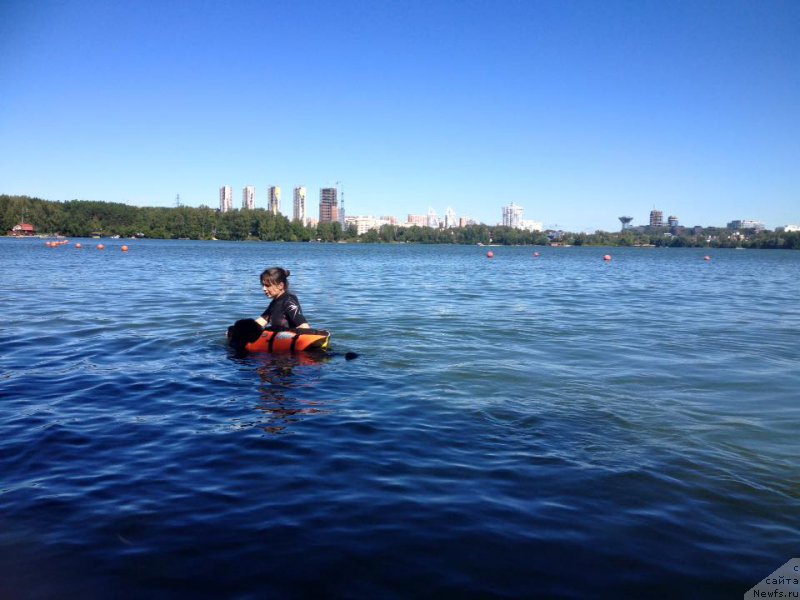 Фотография № 213152