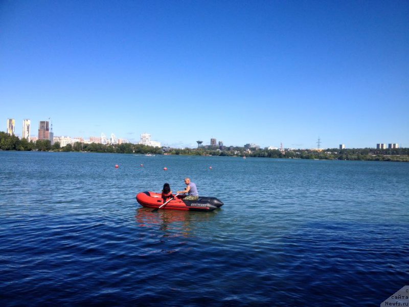 Фотография № 213154