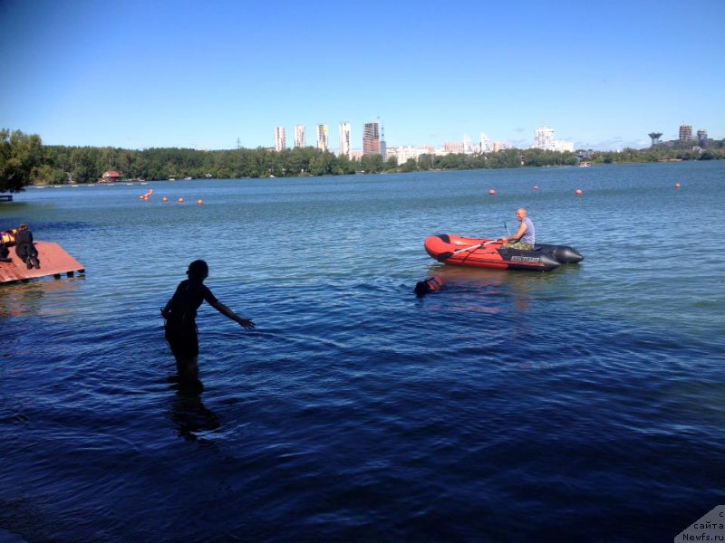 Фотография № 213155