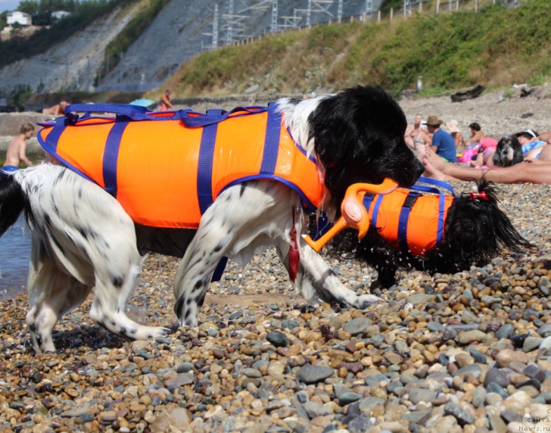 Фотография № 213158