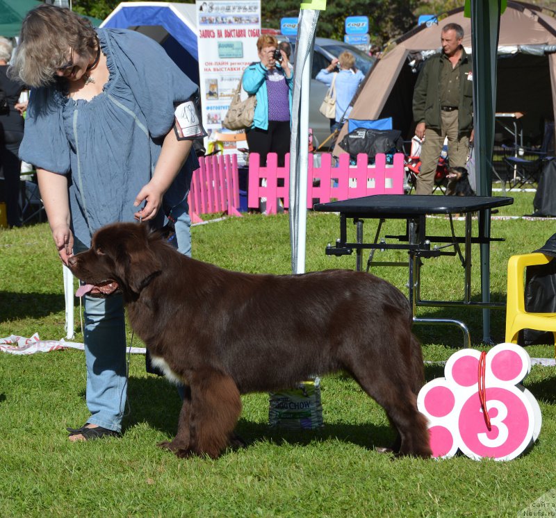 Фотография № 213191