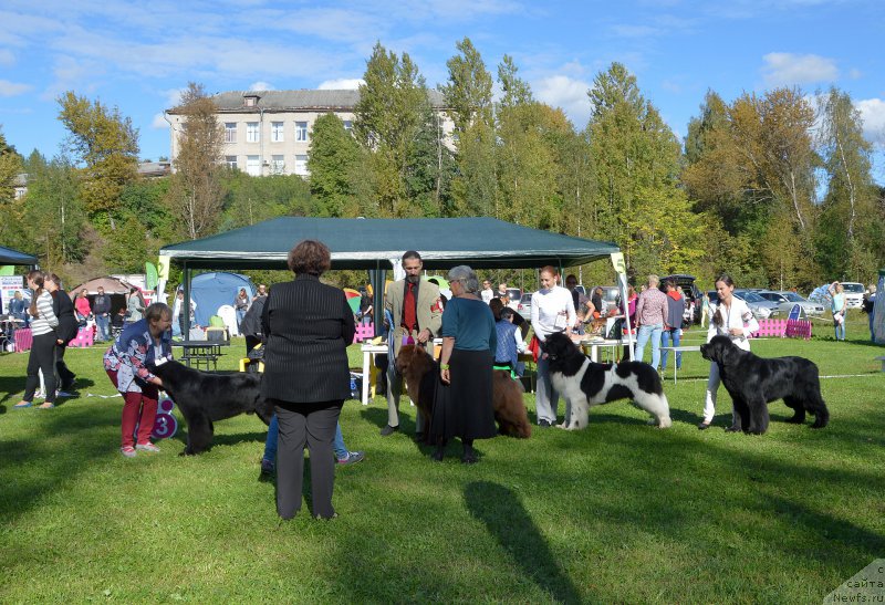 Фотография № 213193