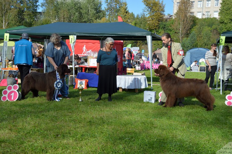 Фотография № 213198