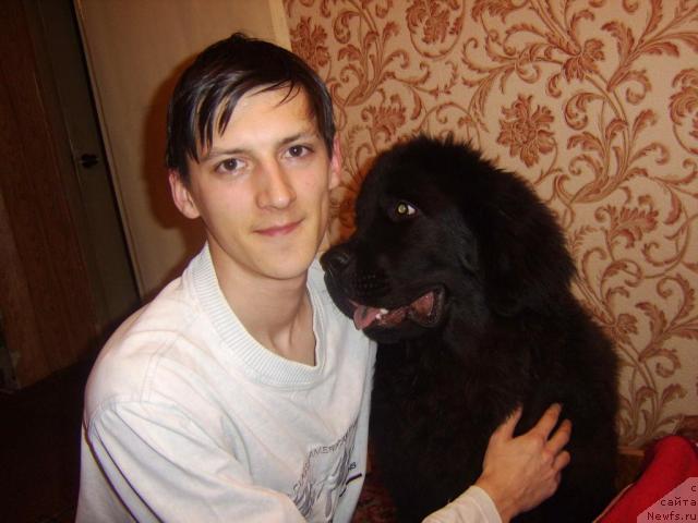 Фото: Олег Лаптев