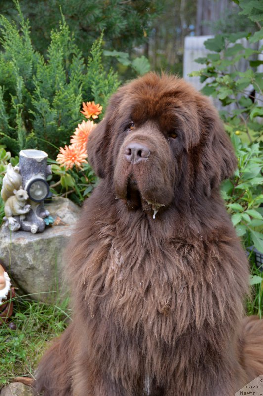 Фотография № 213206