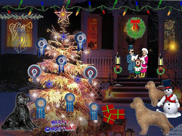 Фотография № 21321