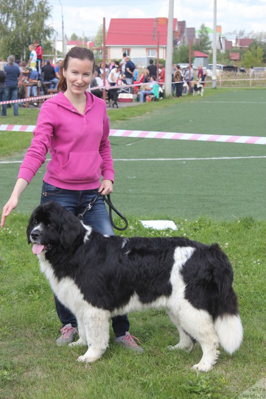 Фотография № 213212