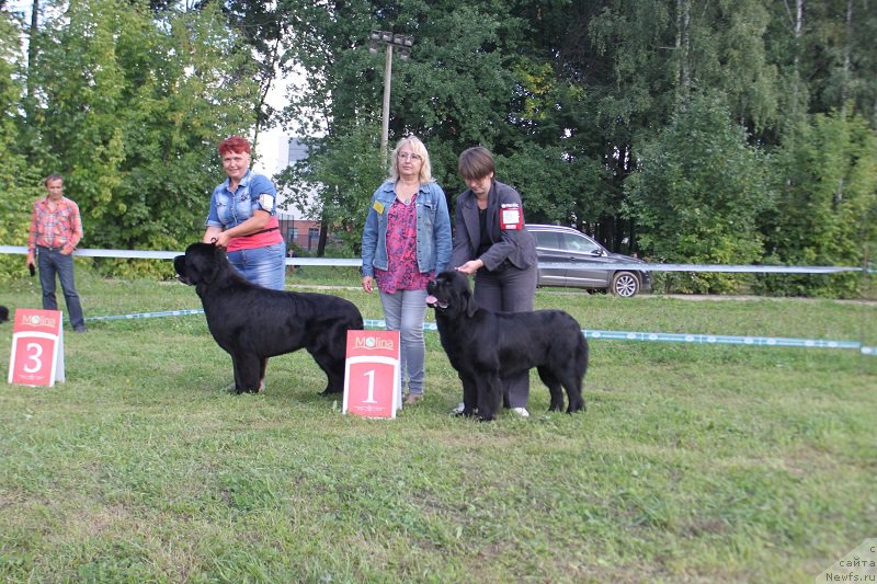 Фотография № 213217