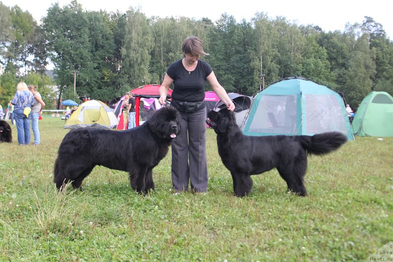 Фотография № 213220